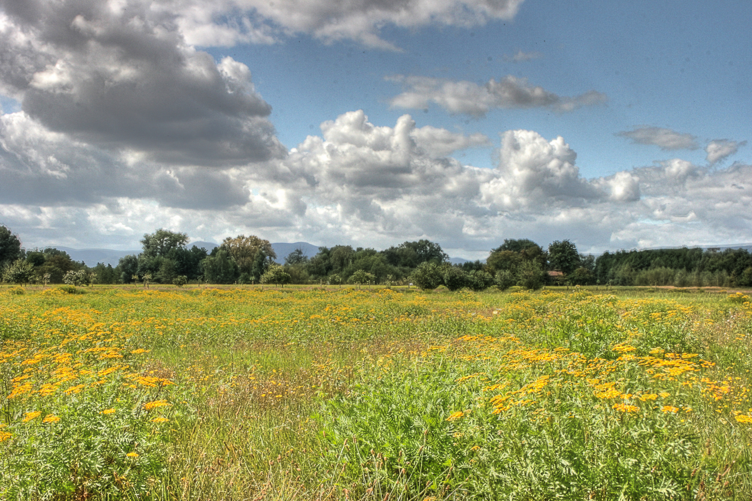 Landschaften-1