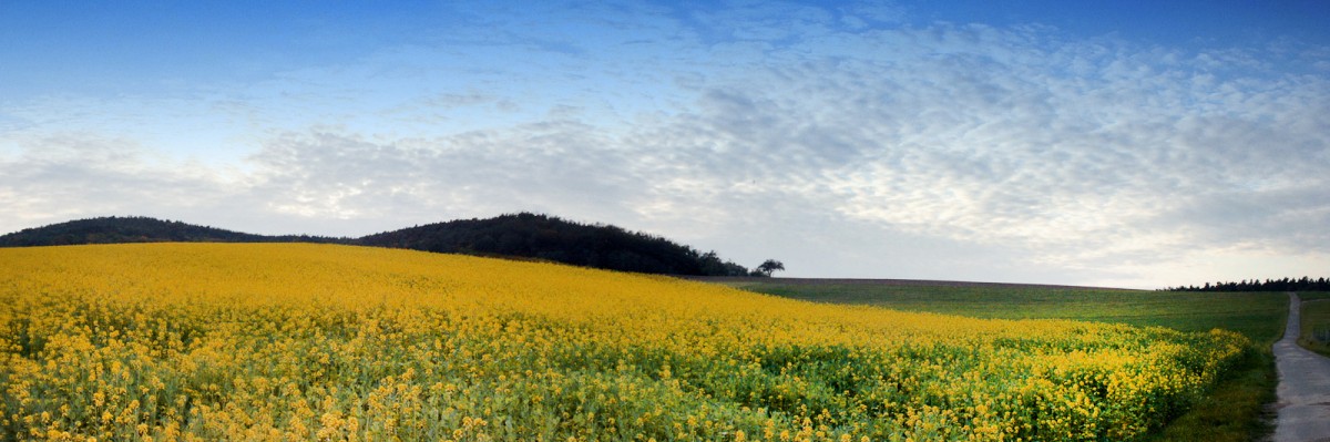 Panorama-10