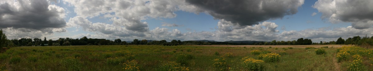Panorama-14