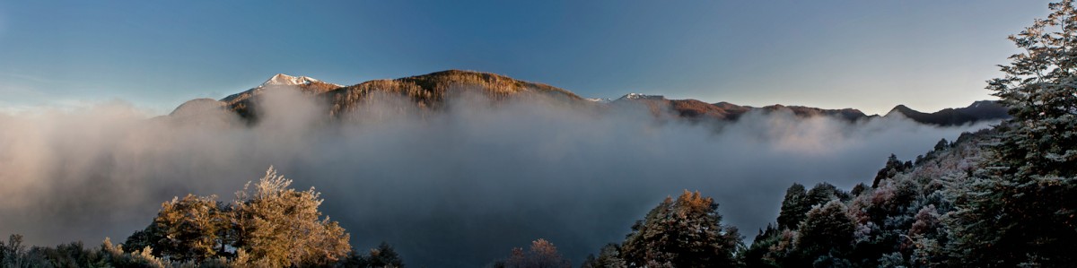 Panoramas
