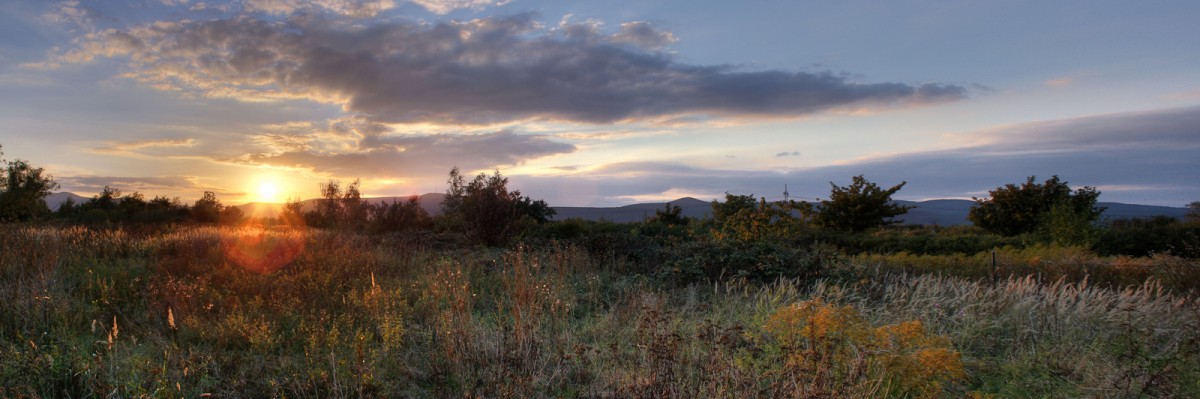 Panorama-8-2
