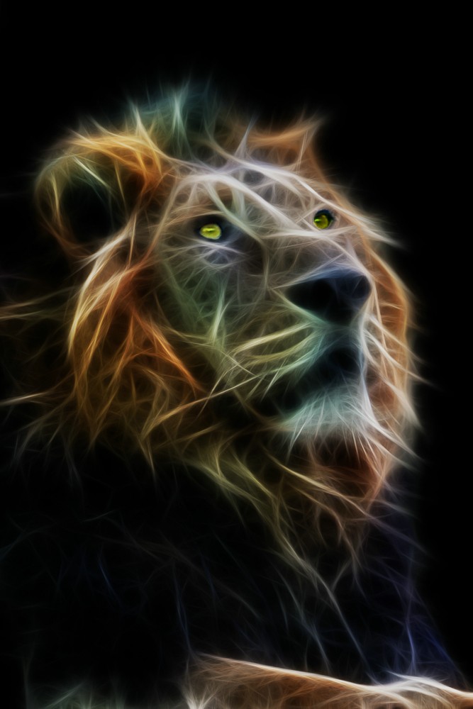 Tiere-4