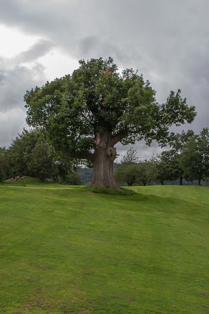 Schottland-11