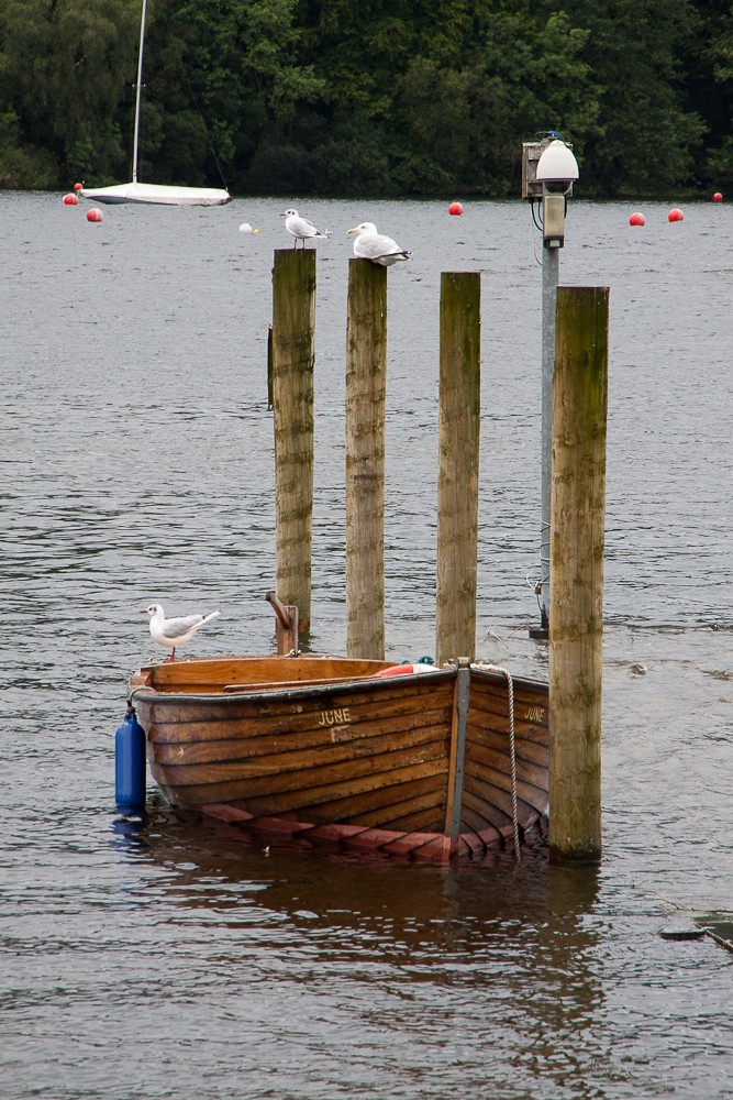 Schottland-15