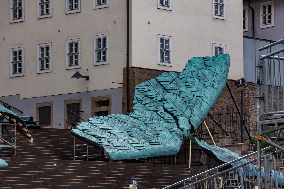 erfurt-4