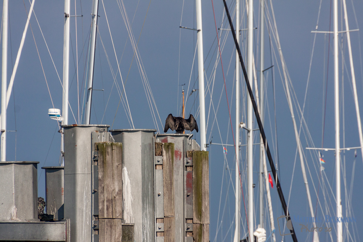 ostsee-7