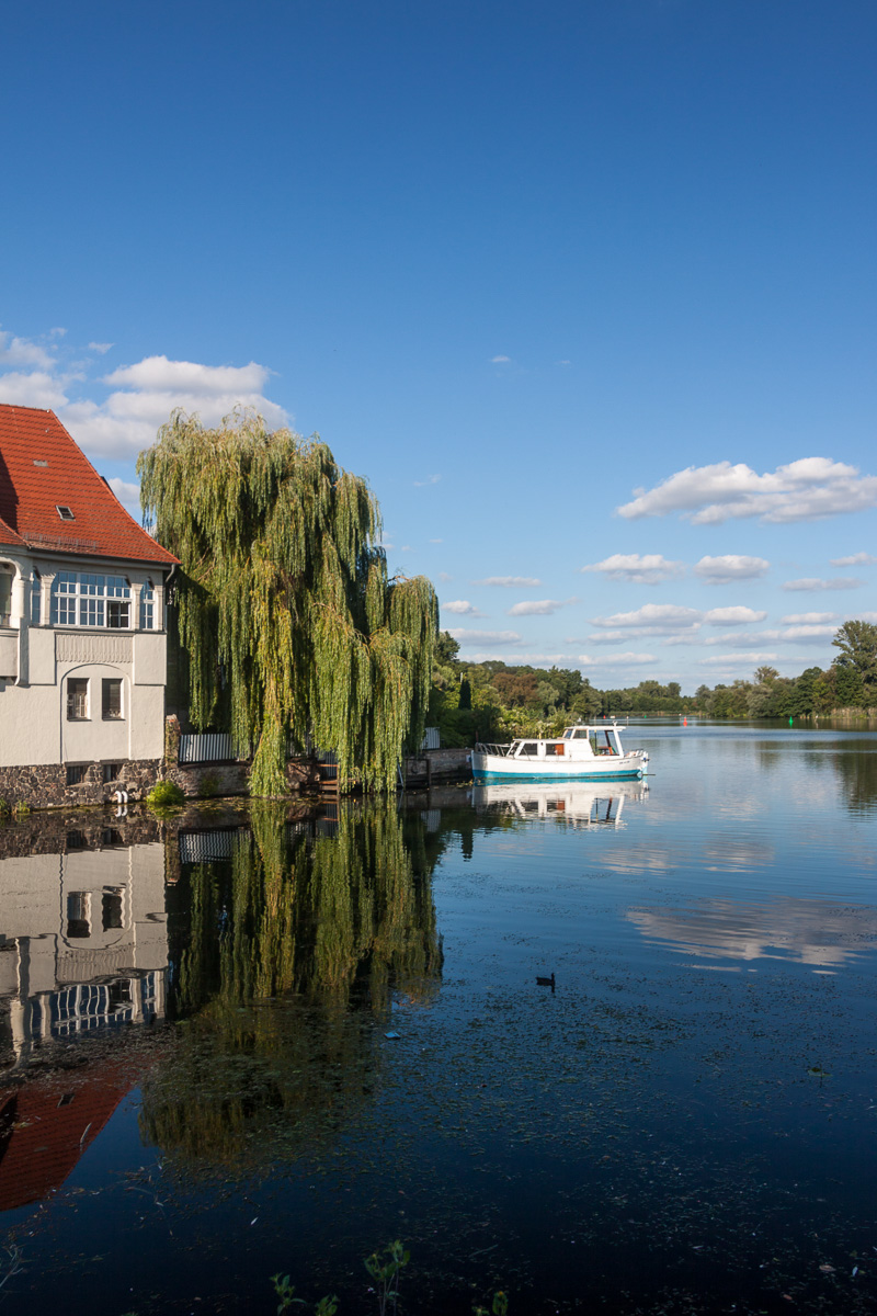 brandenburg-6