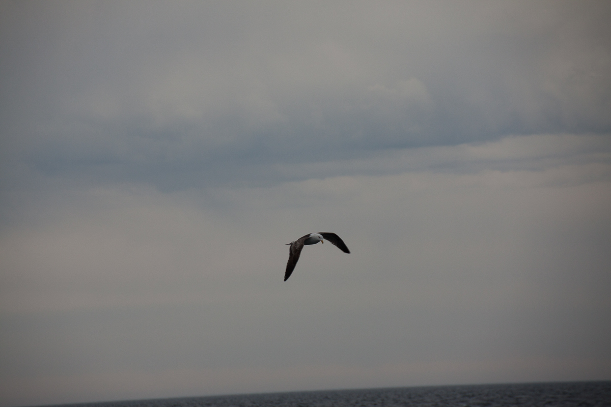 chubut-26