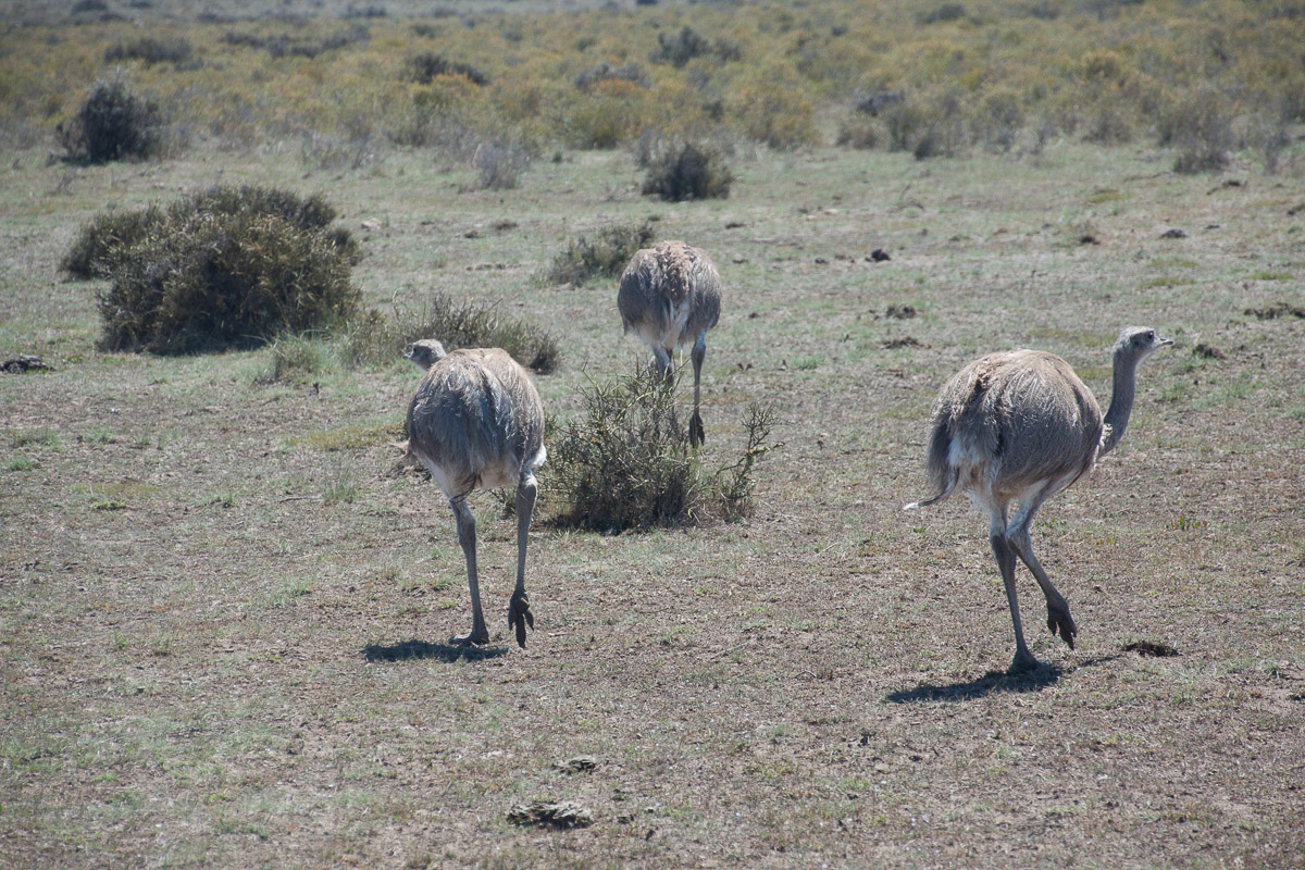 chubut-44