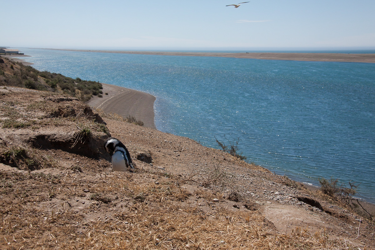 chubut-58