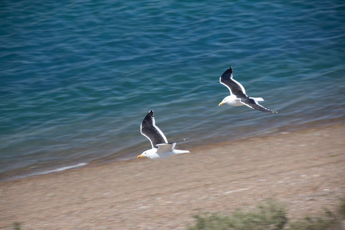 chubut-59