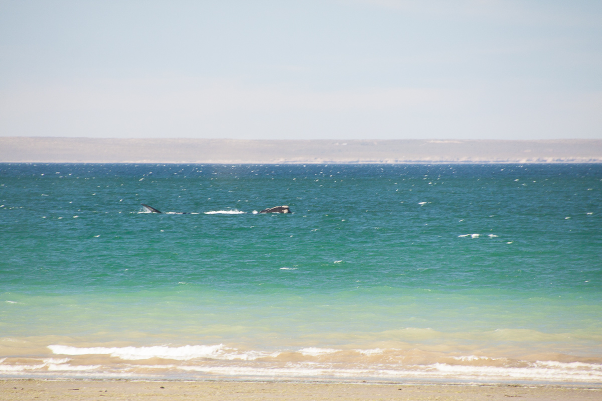 chubut-7