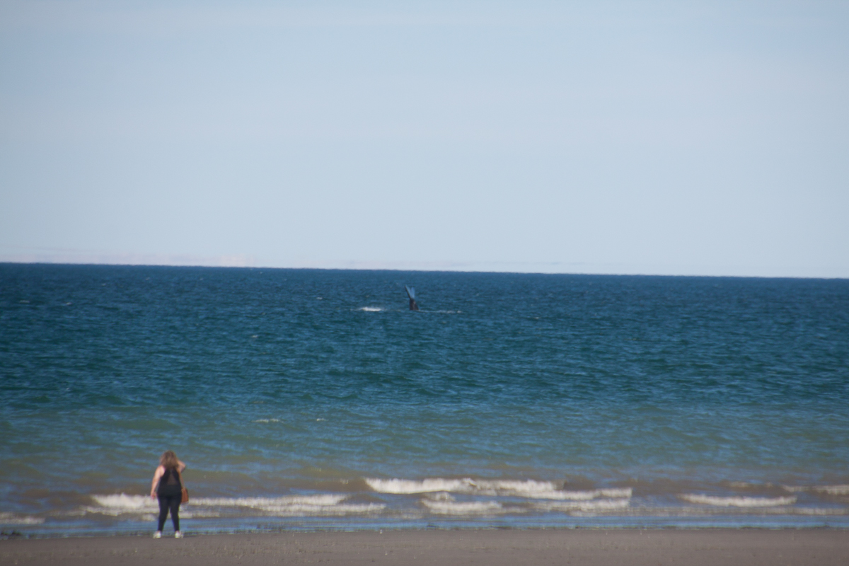chubut-8
